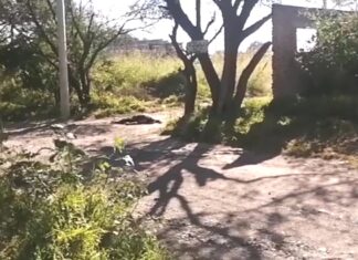 Ejecutan a un hombre en la comunidad de La Luz