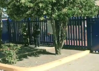 Riña entre vigilantes dejo un saldo de dos muertos en Salamanca.