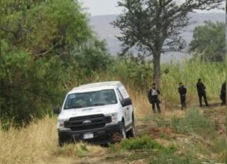En #Puruándiro asesinan y tiran a dos hombres en una parcela