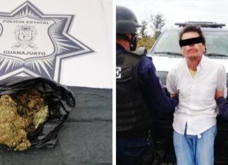 Aseguran las #FSPE en SanFranciscodelRincón, a un hombre que traía consigo 245 dosis de mariguana.