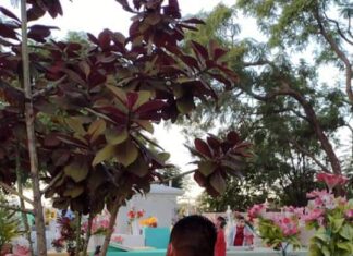 REPORTA PC SALDO BLANCO DURANTE VISITA A PANTEONES EN JARAL DEL PROGRESO.