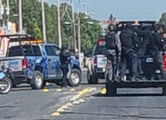 POLICÍA MUNICIPAL DESARTICULA BANDA DEDICADA AL ROBO DE VEHÍCULOS DE LUJO CON VIOLENCIA Y POR ENCARGO