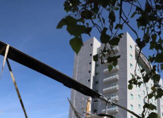 Montan exposición «La Gracias Fuerza de México» en Celaya.