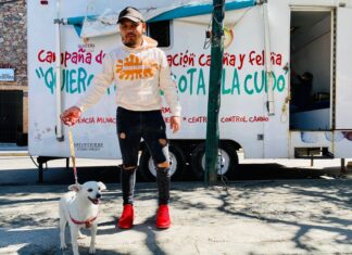 Se realiza campaña de esterilización canina y felina en Salvatierra