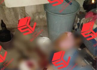 Ataque armado en Apaseo El Grande dejo un saldo de al menos seis muertos, cuatro mujeres entre ellas una menor de tres años y un bebé de ocho meses.