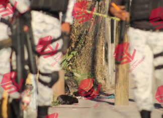 Encuentran el cuerpo calcinado de una persona en el Malecón en León; autoridades ya investigan.