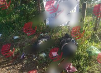 Localizan los cuerpos sin vida de Marinos desaparecidos por el CJNG en Zapopan, jal.