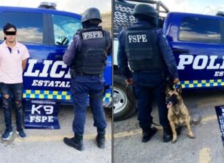 Detienen en León s un sujeto con un arma de fuego y 300 dosis de droga.