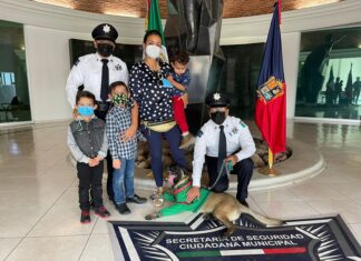 Se suma “Nixon” a grupo K9 de Policía Municipal.