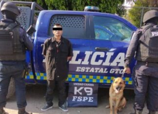 Elementos de las FSPE detuvieron a un hombre con casi 500 dosis de droga en León.