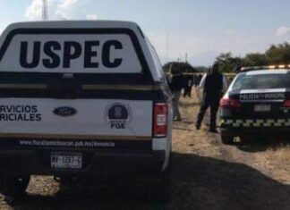 De un balazo en la cabeza una mujer fue ejecutada en Morelia.