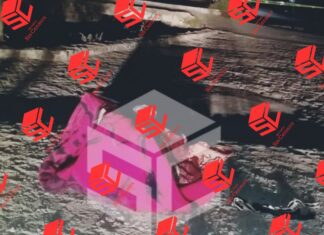 Localizan restos humanos en una caja de cartón y en bolsas de plástico, en la colonia La Loma de Valle de Santiago.