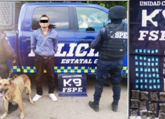 Detienen en León a un sujeto con más de 130 dosis de droga.