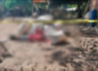 Durante una riña un hombre fue asesinado en Huetamo Mich.