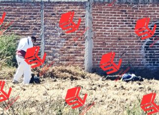 Inician investigación por el delito d homicidio en grado de tentativa por los hechos ocurridos esta madrugada en Irapuato.