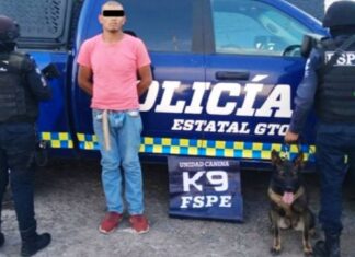 FSPE detienen en León a un sujeto con más de 160 dosis de droga.