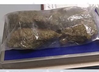 Personal de la Dirección General de Seguridad Ciudadana, Tránsito y Vialidad decomisaron gramos de marihuana.