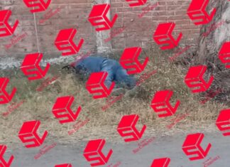 Un hombre fue asesinado a balazos en la calle Aguascalientes de la colonia 20 de Noviembre en Valle de Santiago.