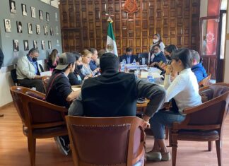 Queda conformado el COPLADEM en Salvatierra.