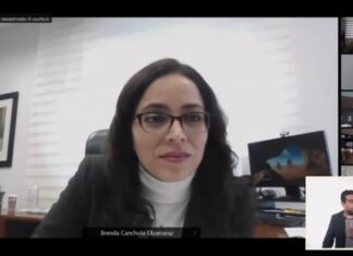 Aprueba IEEG creación e integración de grupo de trabajo sobre diputaciones migrantes.