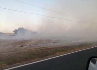 No a la quema de pastizal