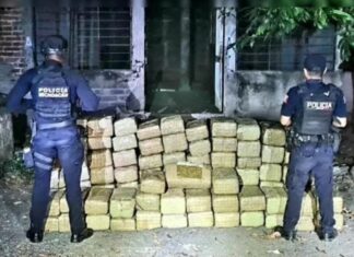 Abandonan 300 kilos de mota en Apatzingán Michoacán.