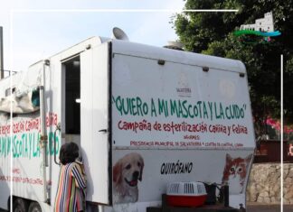 Realizan campaña de esterilización canina y felina en Yuriria