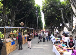 Se lleva a cabo Festival Migrante 2021 en Salvatierra.