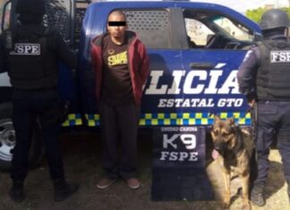 Detienen en León a un sujeto con más de 300 dosis de droga.
