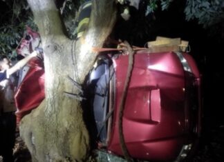 Hombre muere tras chocar contra un árbol en Peribán Mich.