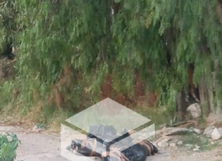 Localizan restos humanos a un costado del canal en la colonia Gobernadores en Celaya.