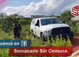 Dos cadáveres fueron encontrados en unas fosas clandestinas en #Cuitzeo