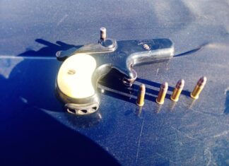 LA POLICÍA DE LEÓN DETUVO A UN HOMBRE ARMADO