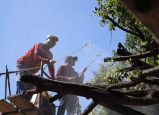 🟠Comunicado a los ciudadanos Moroleoneses🟠