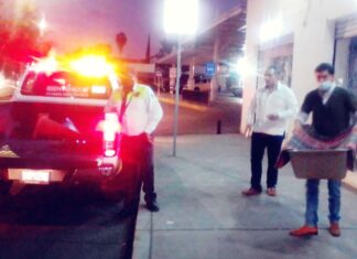 Apoya Tránsito Municipal a una perrita atropellada, para recibir atención médica.