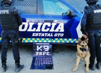 Unidad Canina K9 de las FSPE, logró asegurar a un hombre que traía consigo 83 dosis de cristal.