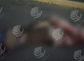 Abandonan el cuerpo sin vida de una persona en la comunidad de Rincón de Tamayo en Celaya.