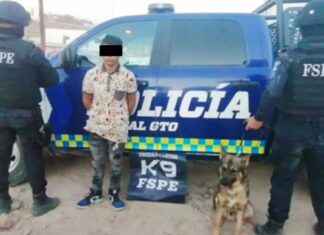 Detiene la Unidad Canina K9 de las FSPE en León, a un joven que traía consigo 50 dosis de cristal.