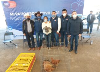 Entrega de apoyos del programa Mi Patio Productivo, en Salvatierra.