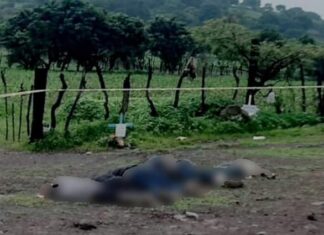 Los cuerpos de tres hombres y dos mujeres fueron abandonados junto a la carretera