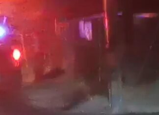 Localizan restos humanos en bolsas de plástico en la colonia Campestre en Celaya.