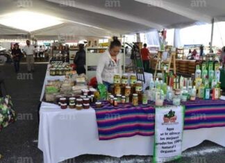 Municipio de Salamanca celebrará edición 18 dea Expo Nopal del 17 a 20 de febrero