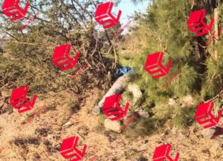 Localizan el cuerpo sin vida de un hombre en un camino vecinal en la comunidad de Santa Rosa de Parangueo, en Valle de Santiago.