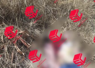 Ejecutan a una pareja en la comunidad de Los Fierro, en Tarimoro.