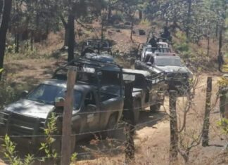 Tras agresión a tiros revientan narcocampamentoen Michoacán.