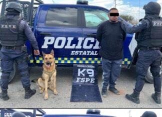 Detienen en León a un sujeto con casi 600 dosis de diferentes drogas.