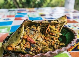 Expo Nopal 2022 se pospone por motivos de la pandemia