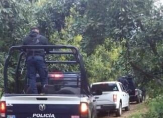 Un hombre murió al detonar una mina puesta por delincuentes en Aguililla Mich.