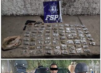 FUERZAS DE SEGURIDAD PÚBLICA DEL ESTADO ASEGURAN A UN SUJETO CON ARMAS, CARTUCHOS Y 890 DOSIS DE MARIGUANA.