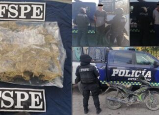 FSPE detuvieron en San Luis de la Paz, a dos hom res con casi 600 dosis de marihuana
